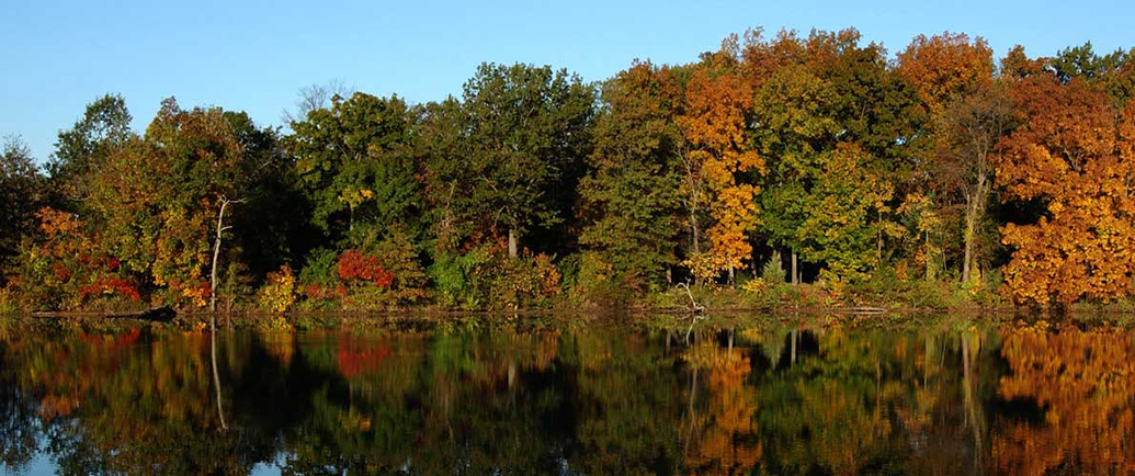 SIU Campus Lake