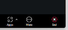 Zoom display panel, end meeting button