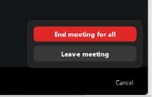 Zoom display panel, end meeting menu