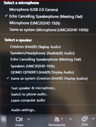Zoom display panel, microphone and speaker select