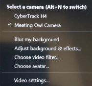Zoom display panel, camera select