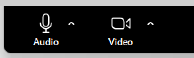 Zoom display panel, audio and video selection icons