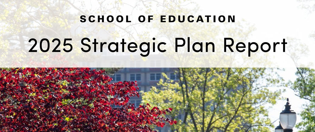 2025 SOE Strategic Plan Report