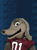 Saluki Dog Mascot